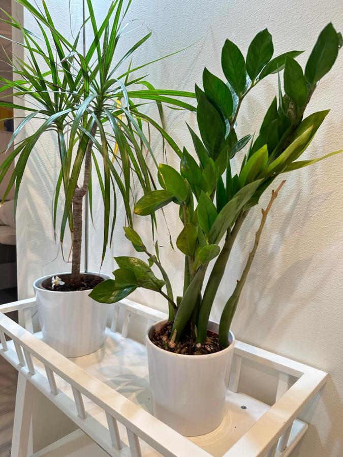 Holiday Travel Apartments Stockholm Luaran gambar